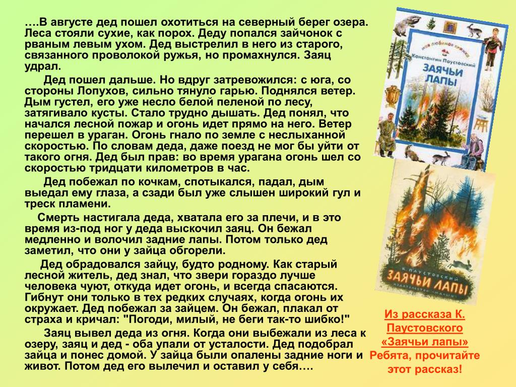 Рассказ паустовского заячьи лапы текст. Изложение Паустовский заячьи лапы. Паустовский заячьи лапы текст. Произведения Паустовского 3 класс заячьи лапы. Рассказ Лесной пожар Паустовский.