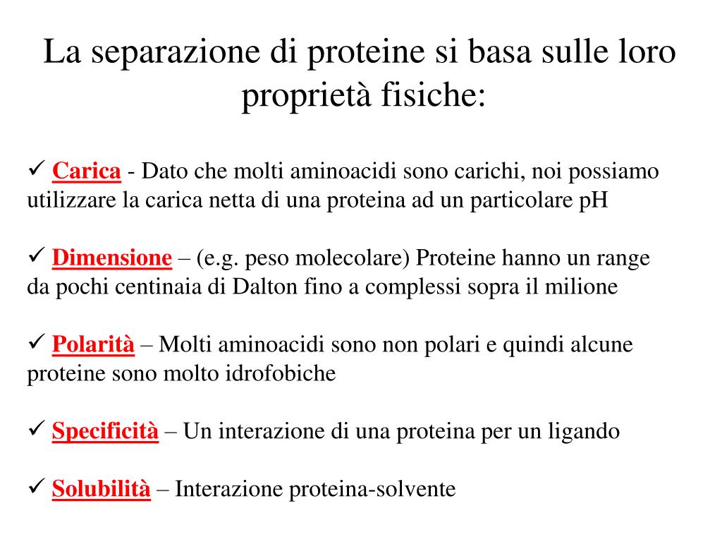 PPT - La separazione di proteine si basa sulle loro proprietà fisiche:  PowerPoint Presentation - ID:3880254