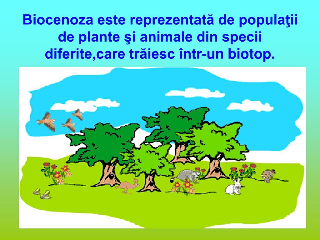 biotopi