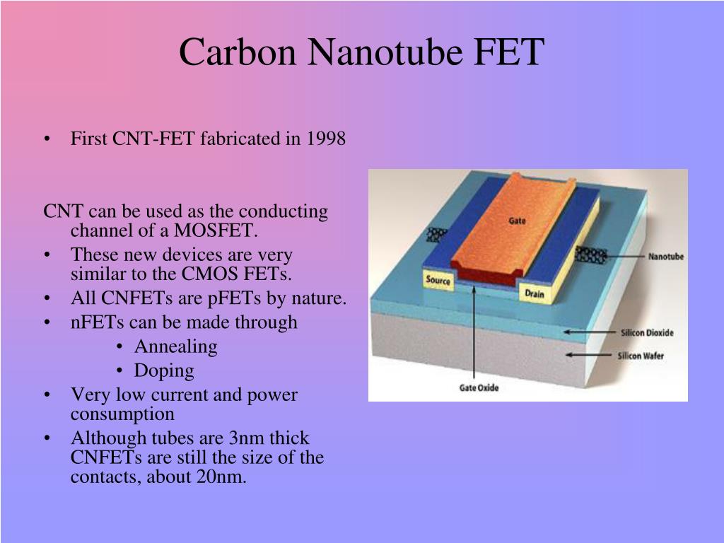 Carbon nanotube fet