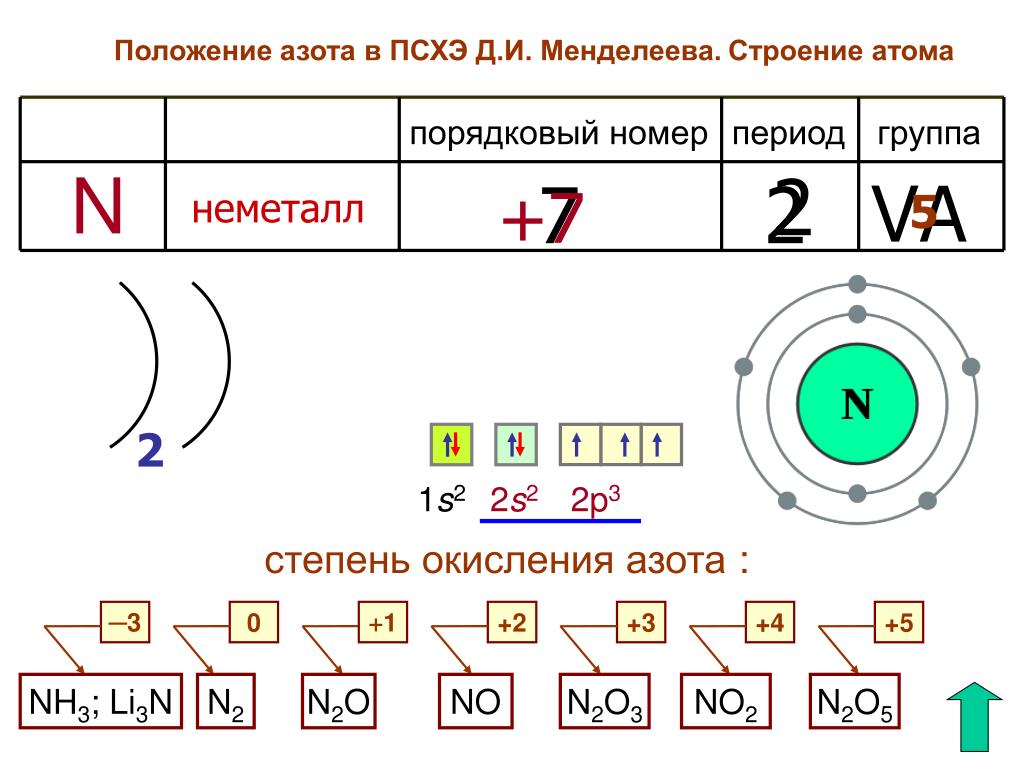 Строение атома 6 группы. Характеристика химического элемента азот. Строение азота неметаллла 5 группы. Характеристика азота строение атома. Положение элемента азота в ПСХЭ Менделеева.