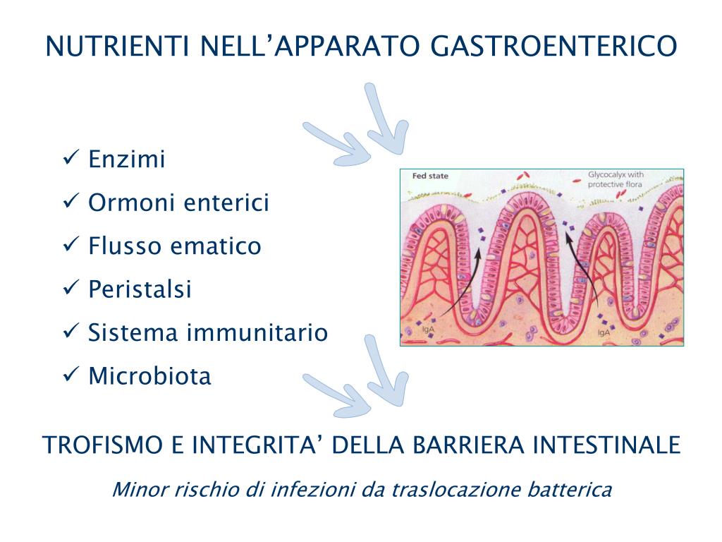 PPT Il percorso nutrizionale Counseling, integratori orali e