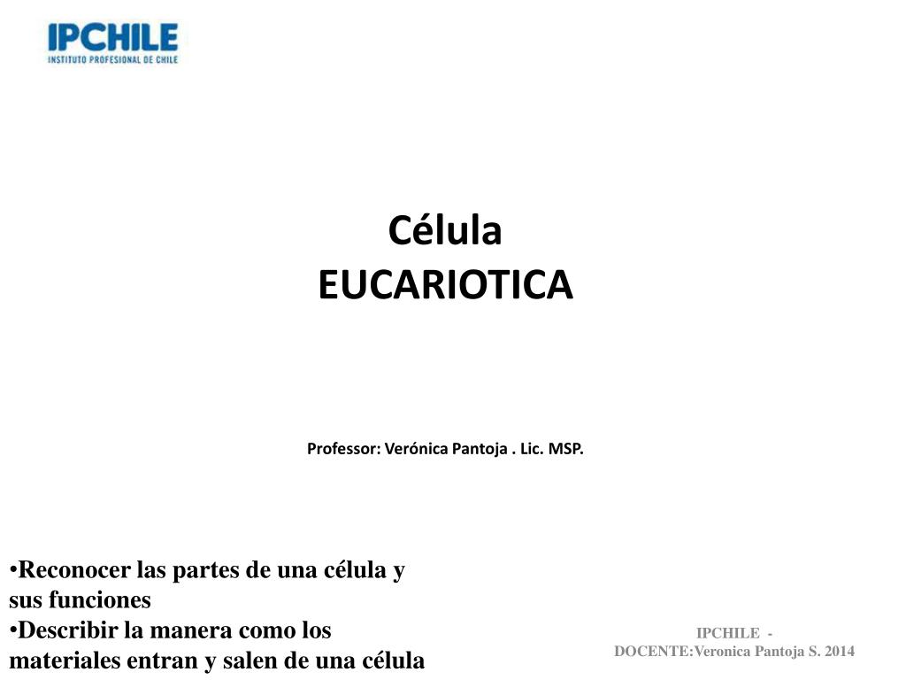 ppt célula eucariotica professor