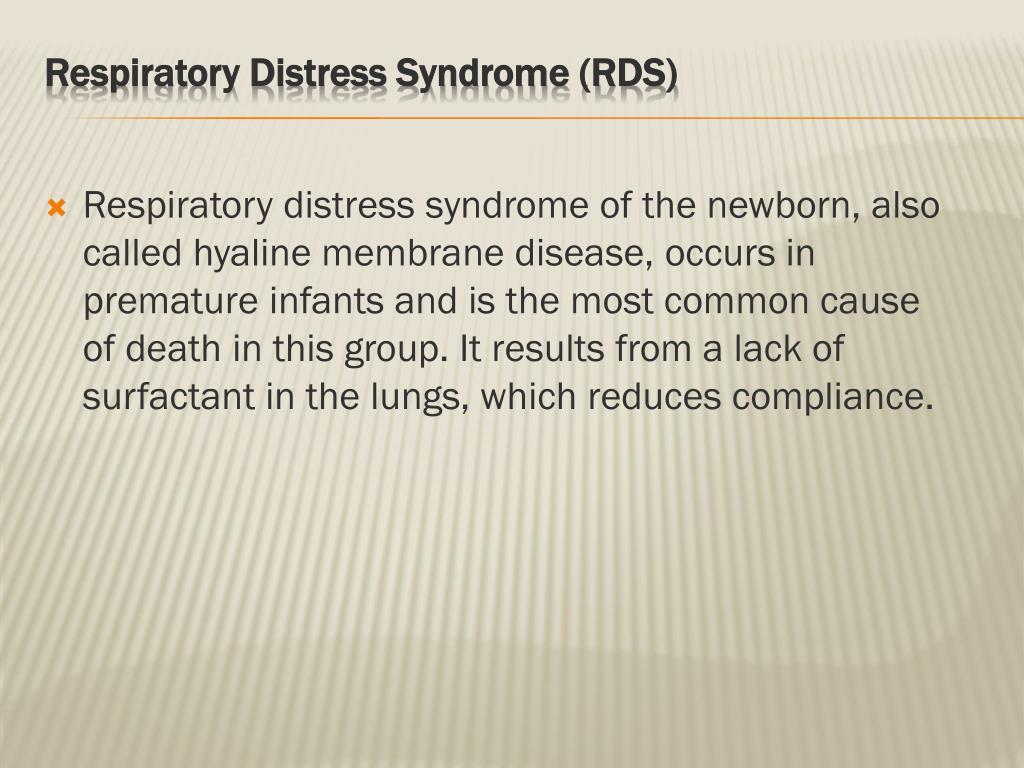 PPT - the respiratory system PowerPoint Presentation, free download ...