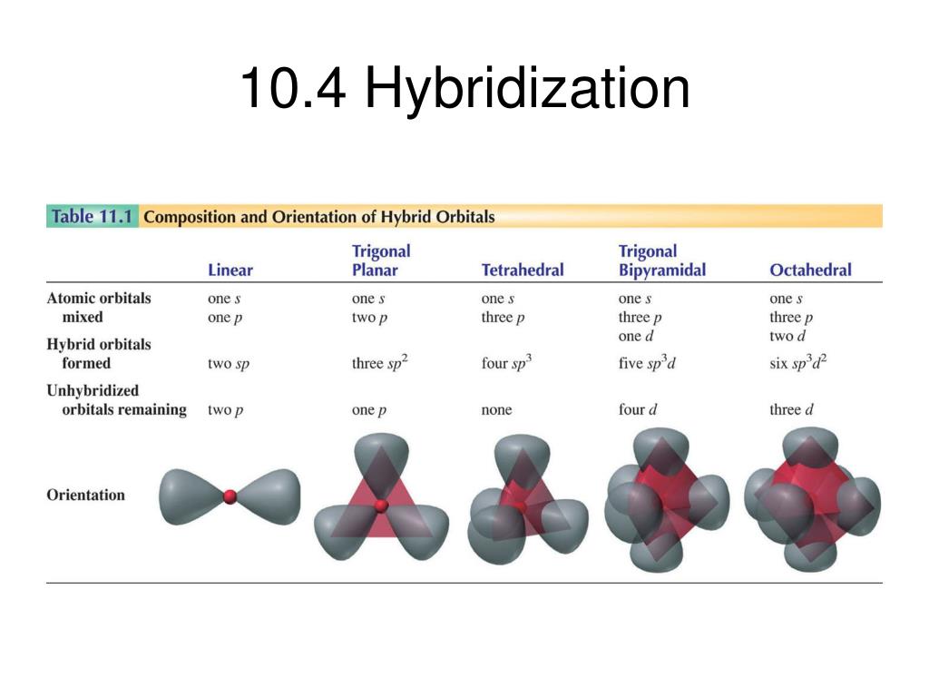 10.4 Hybridization.