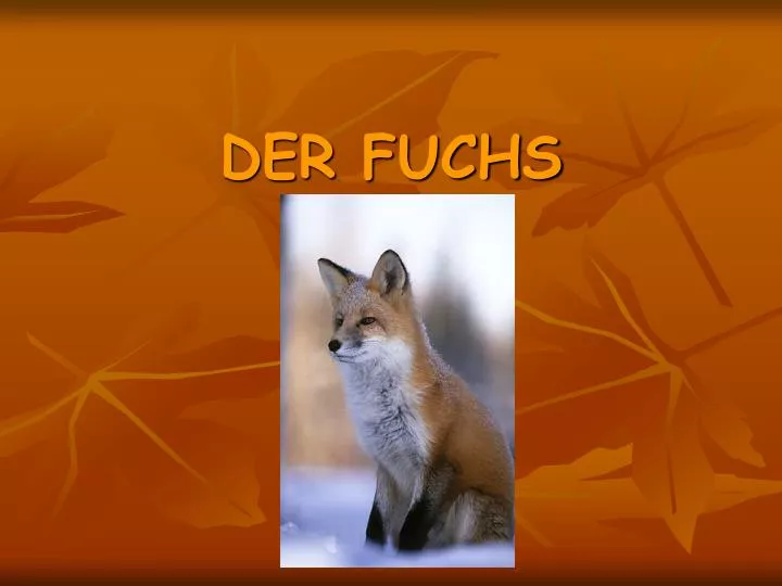PPT - DER FUCHS PowerPoint Presentation, free download - ID:3887381