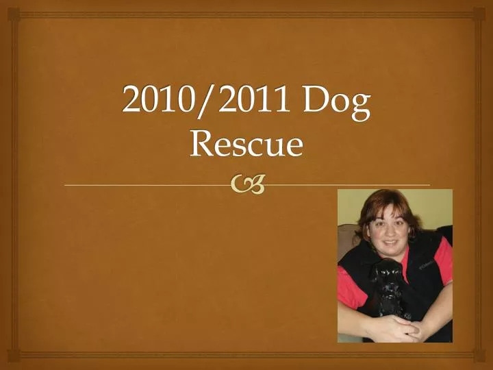 2010 2011 dog rescue n.