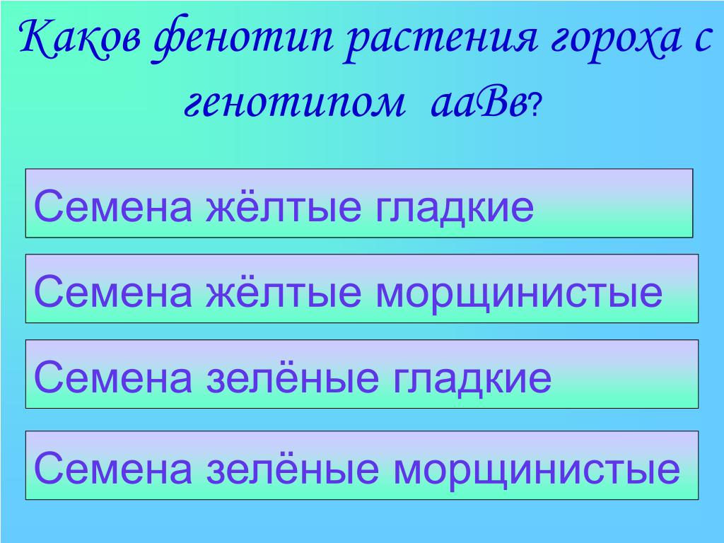 Гладкий каков. Фенотип растения зависит от. Фенотип растения.