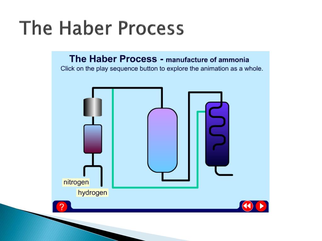 haber process research paper