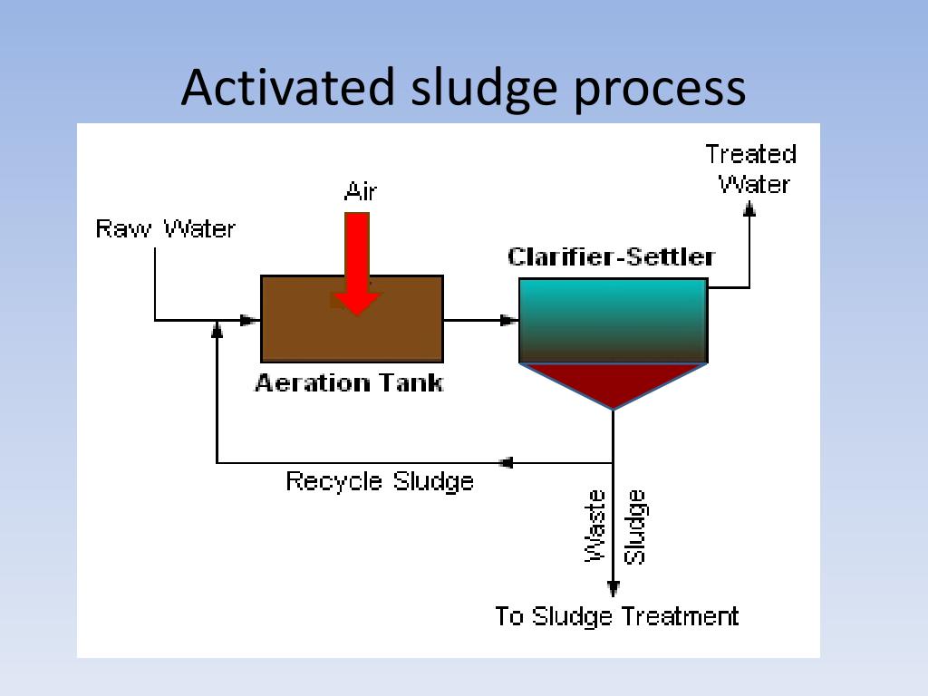 Activated Sludge Process Diagram