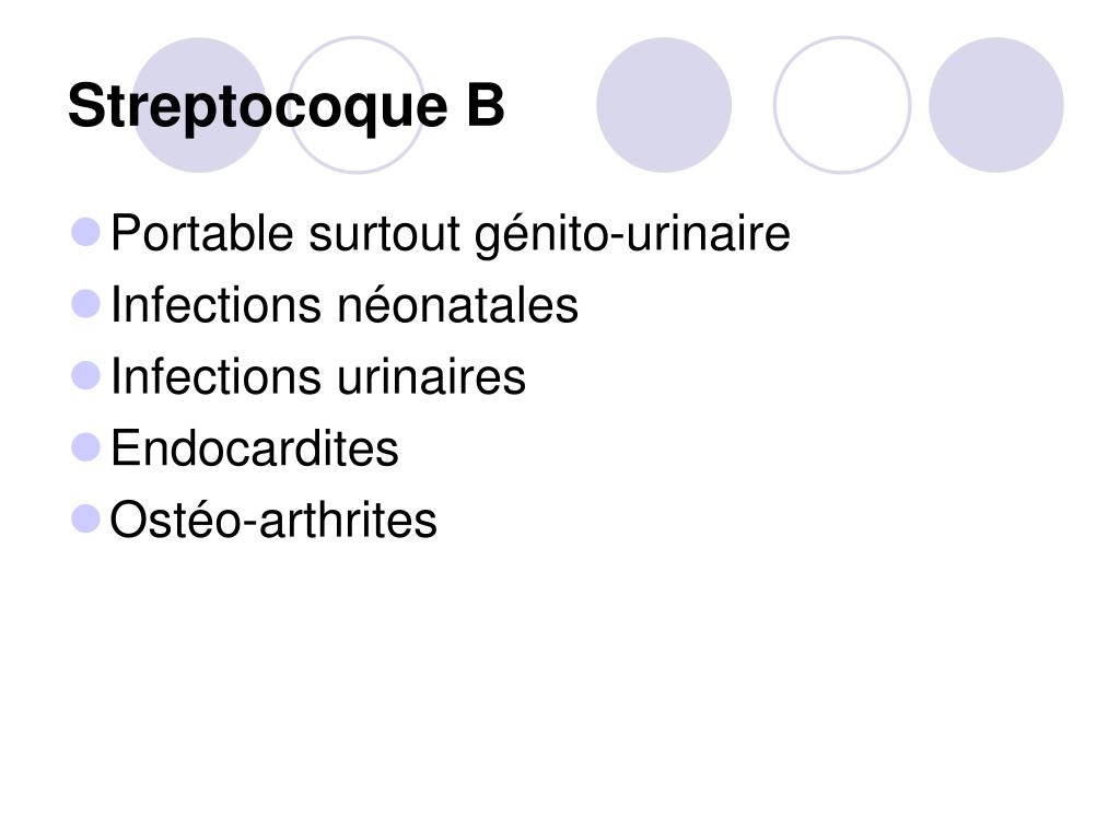 PPT Infections à Streptocoques PowerPoint Presentation, free download ID3889944