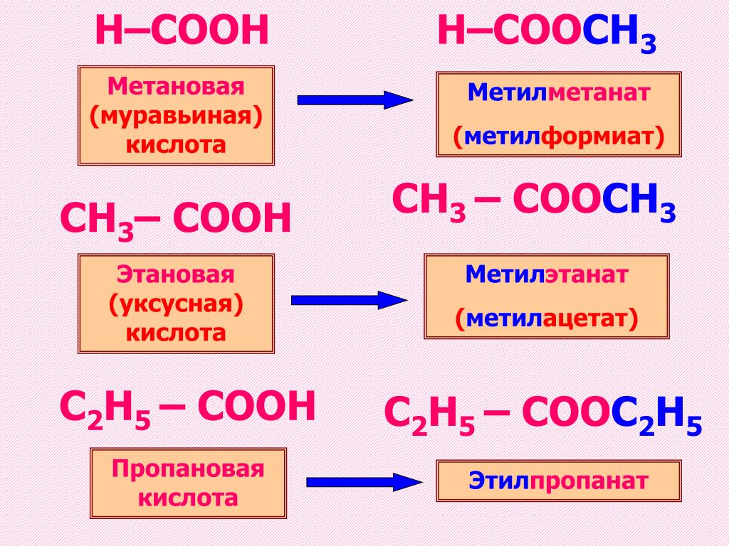 Химические свойства на примере уксусной кислоты. Метановая кислота формула. Гидратация метановой кислоты. Метановая кислота е260. Метановая кислота муравьиная кислота.