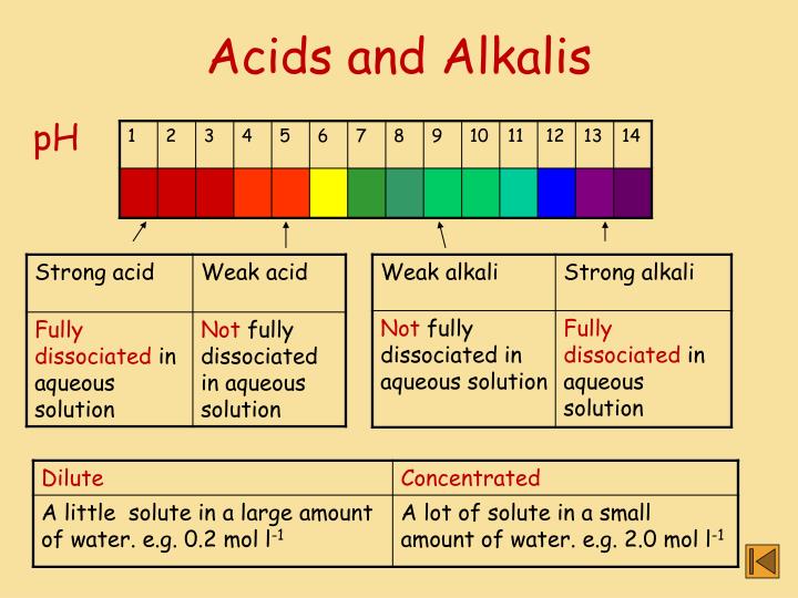 PPT - Chemical Equilibrium and pH PowerPoint Presentation - ID:3890288