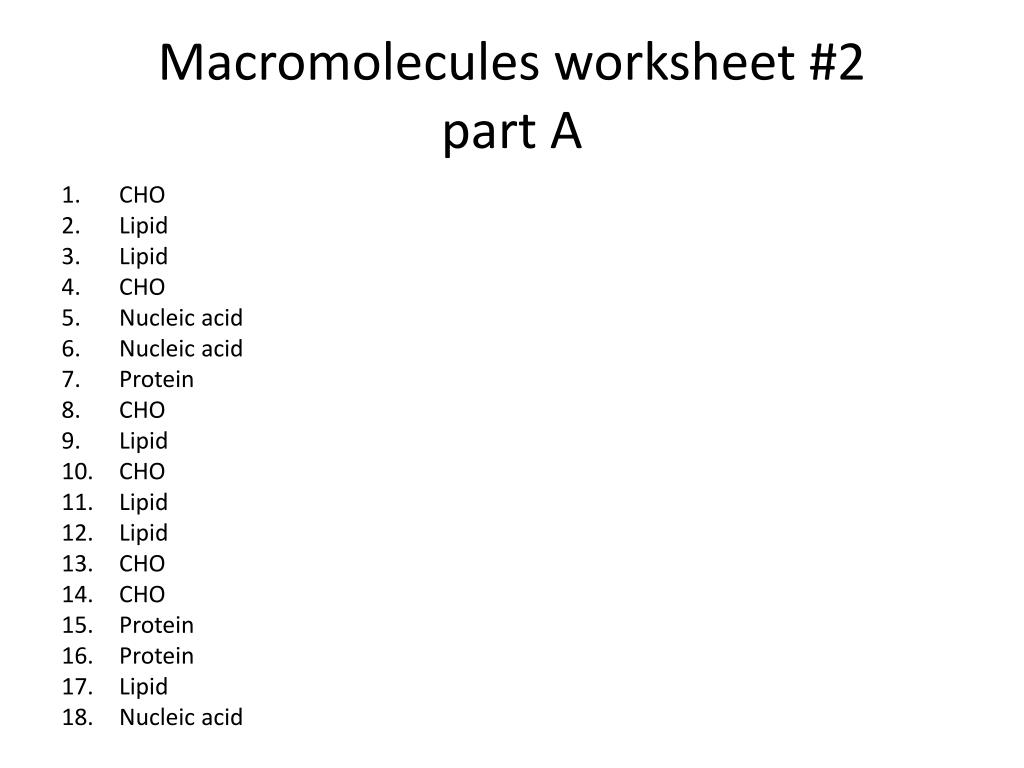 Macromolecules Worksheet 2 Answers