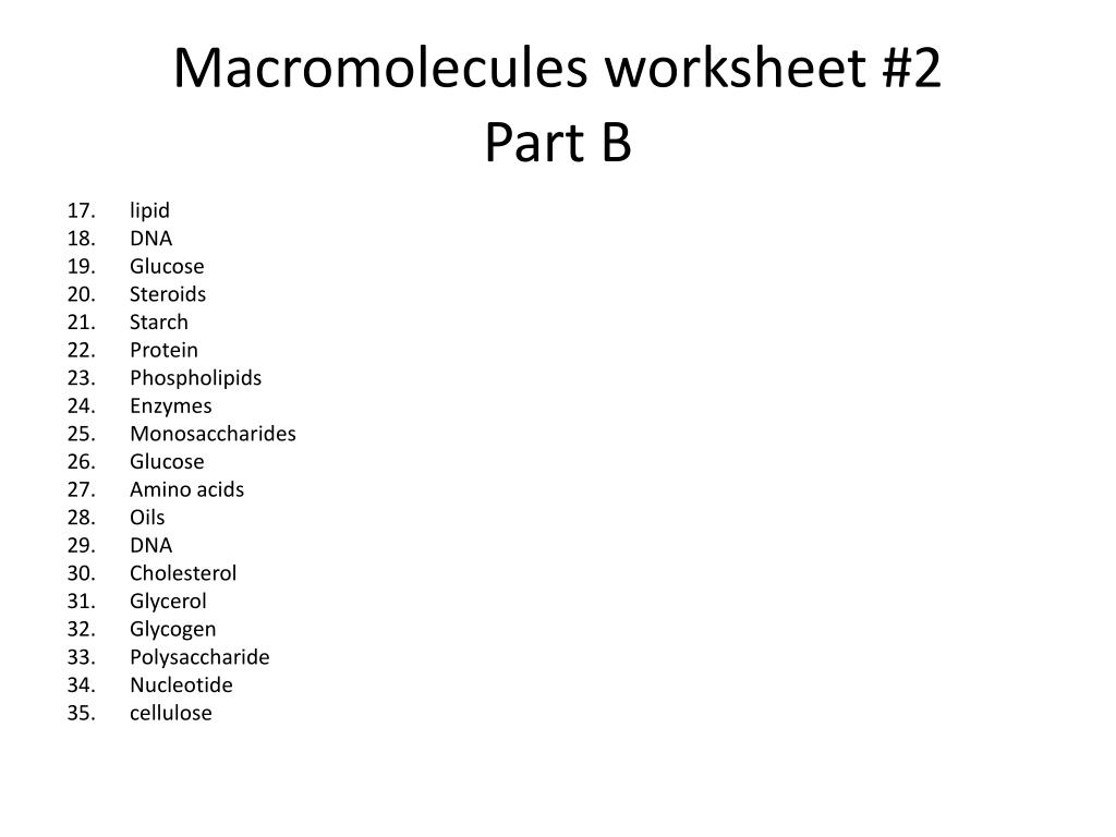 PPT - Study guide answers PowerPoint Presentation, free download Inside Macromolecules Worksheet Answer Key