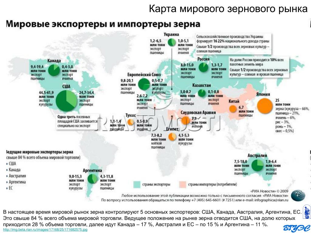Самые сельскохозяйственные страны. Мировой рынок экспорта зерна 2020. Карта экспорта зерна в мире. Экспорт зерна из России на карте.