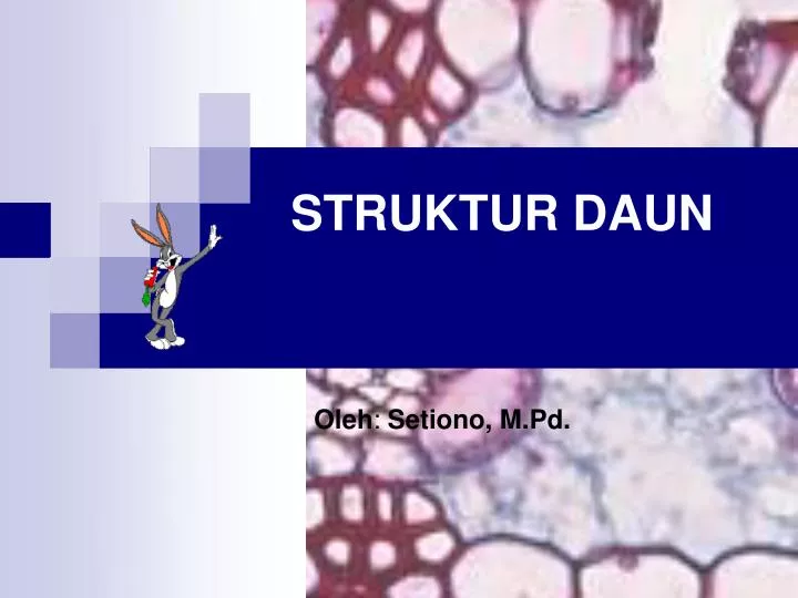 Ppt Struktur Daun Powerpoint Presentation Free Download