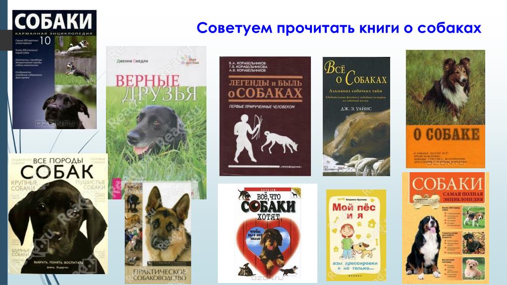 Произведения о собаках. Книги про собак. Книги о собаках для детей. Книги про собак коллаж. Книги про литературных собак.