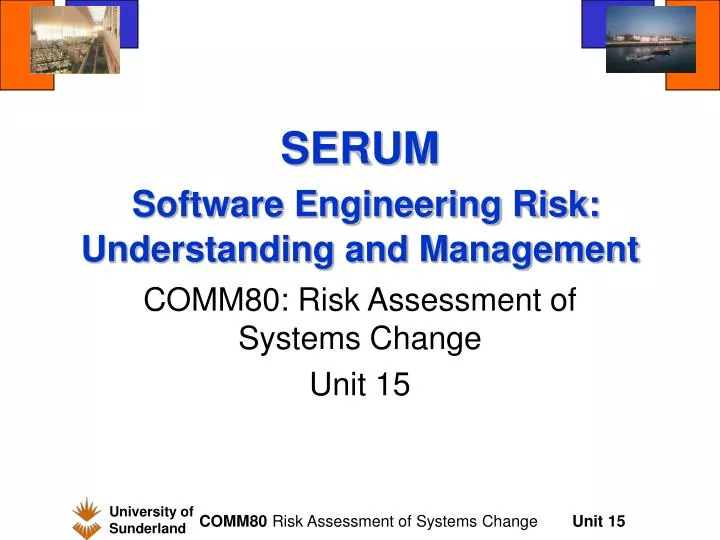 serum software engineering risk understanding and management n.