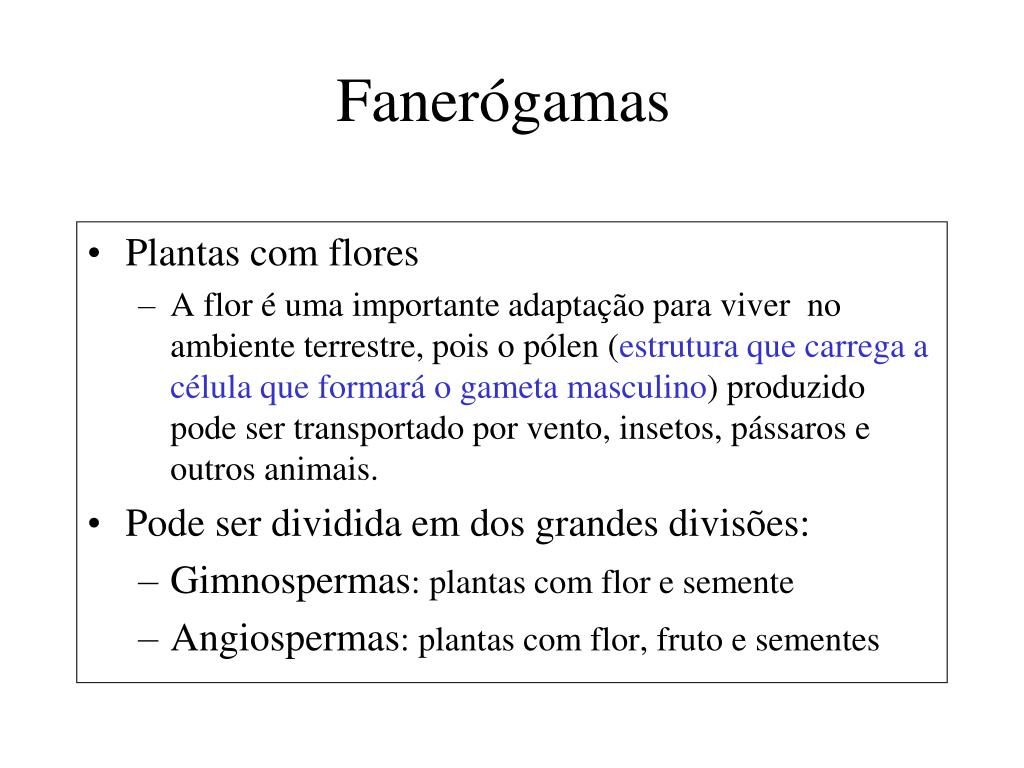 FECUNDAÇÃO DE ANGIOSPERMA - ppt carregar