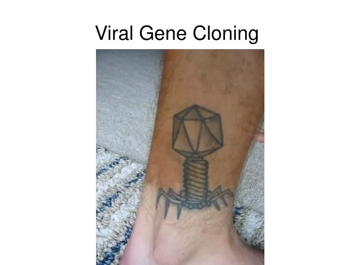 viral gene cloning n.
