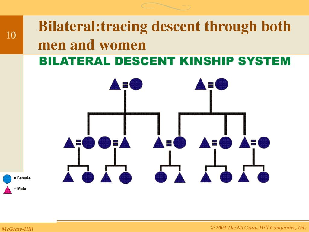 Bilateral Kinship Chart