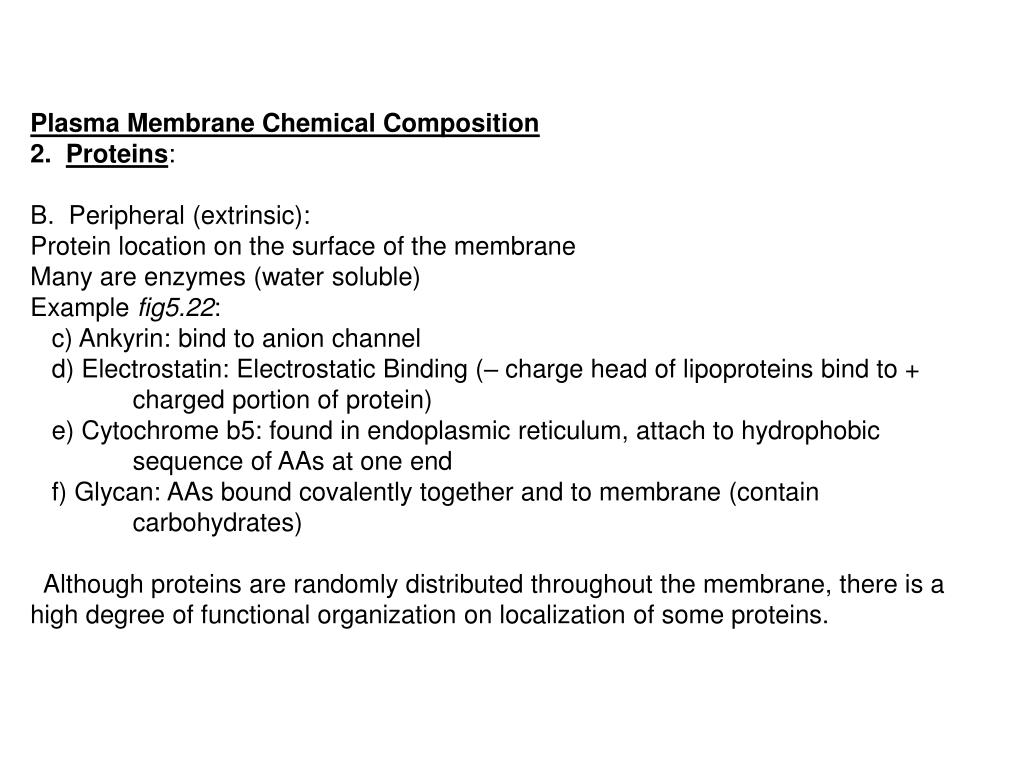 what is the chemical composition of plasma membrane