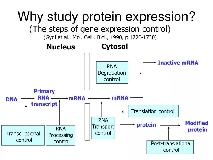 why study protein expression n.
