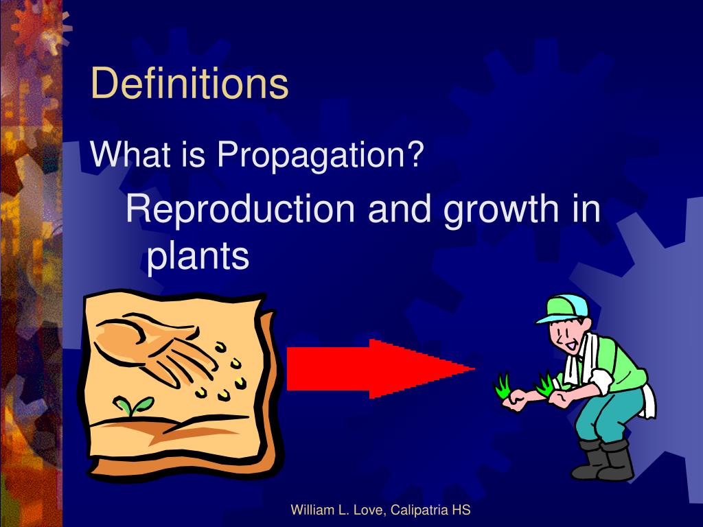 PPT Plant Propagation Techniques A Lesson Plan for 10 th /11 th Grade