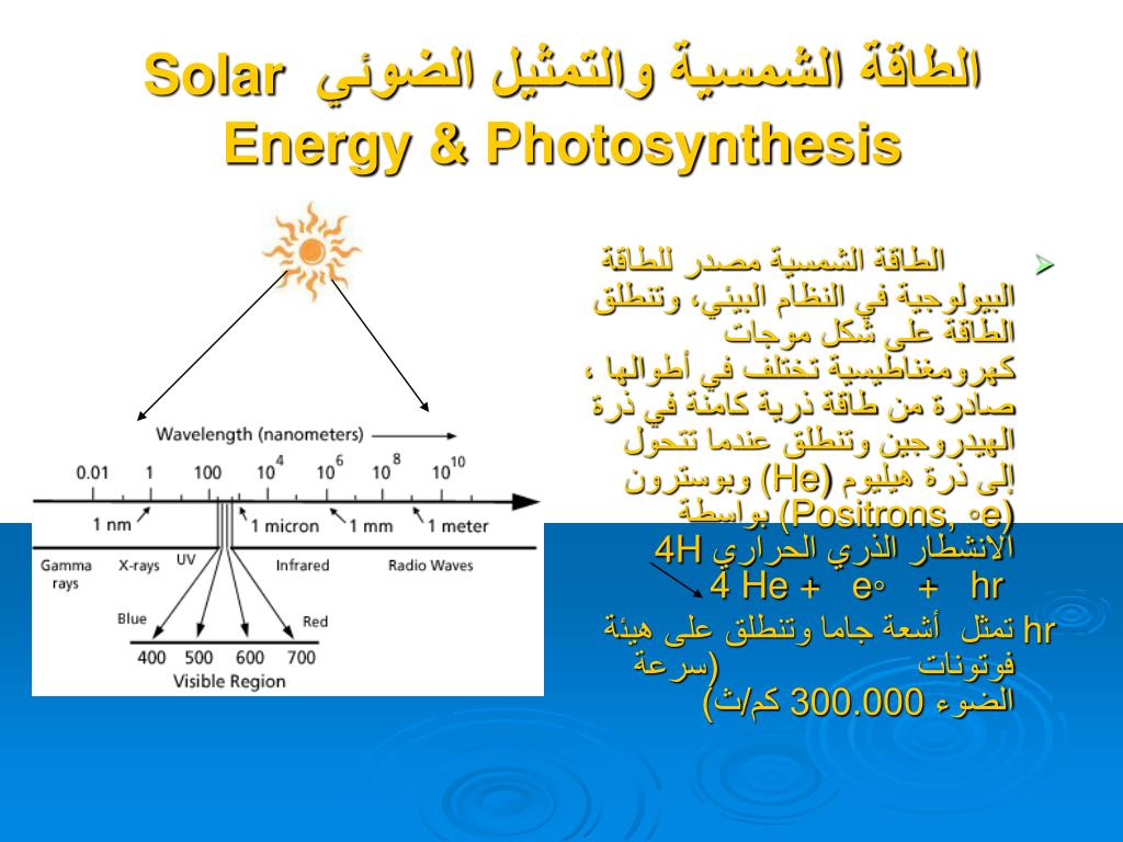 PPT - الطاقة الشمسية والتمثيل الضوئي Solar Energy &amp; Photosynthesis  PowerPoint Presentation - ID:3909149