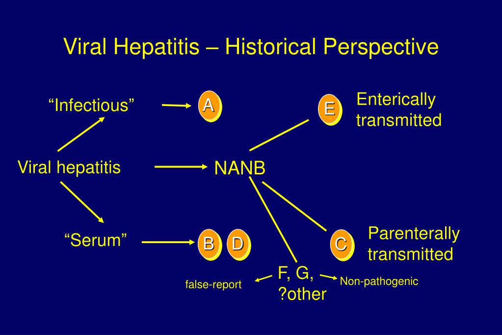 PPT - Epidemiology and Natural History of Hepatitis C Virus Infection ...