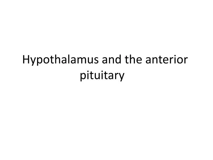 hypothalamus and the anterior pituitary n.