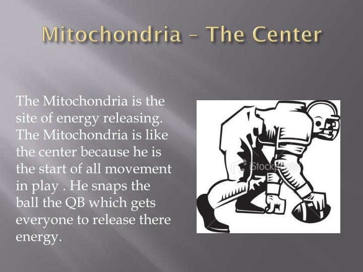 PPT Beau Daniel Period 1 project Cell Analogy PowerPoint Presentation