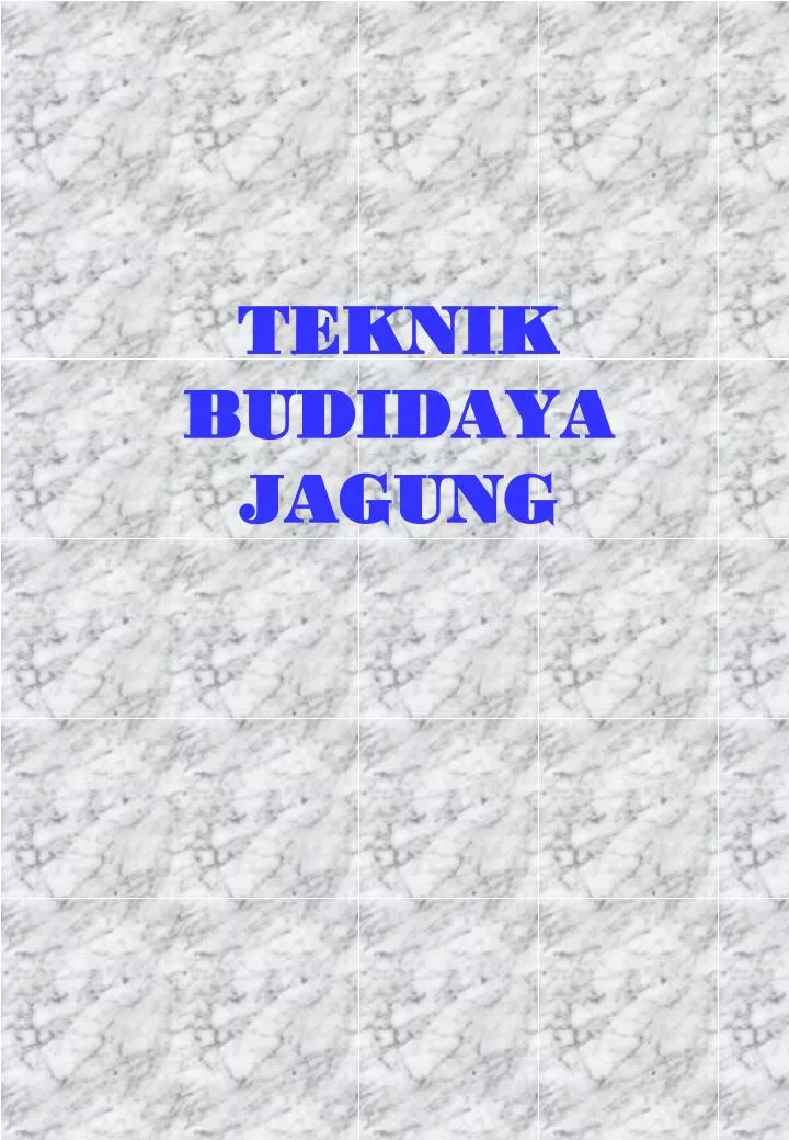 PPT - TEKNIK BUDIDAYA JAGUNG PowerPoint Presentation, free download