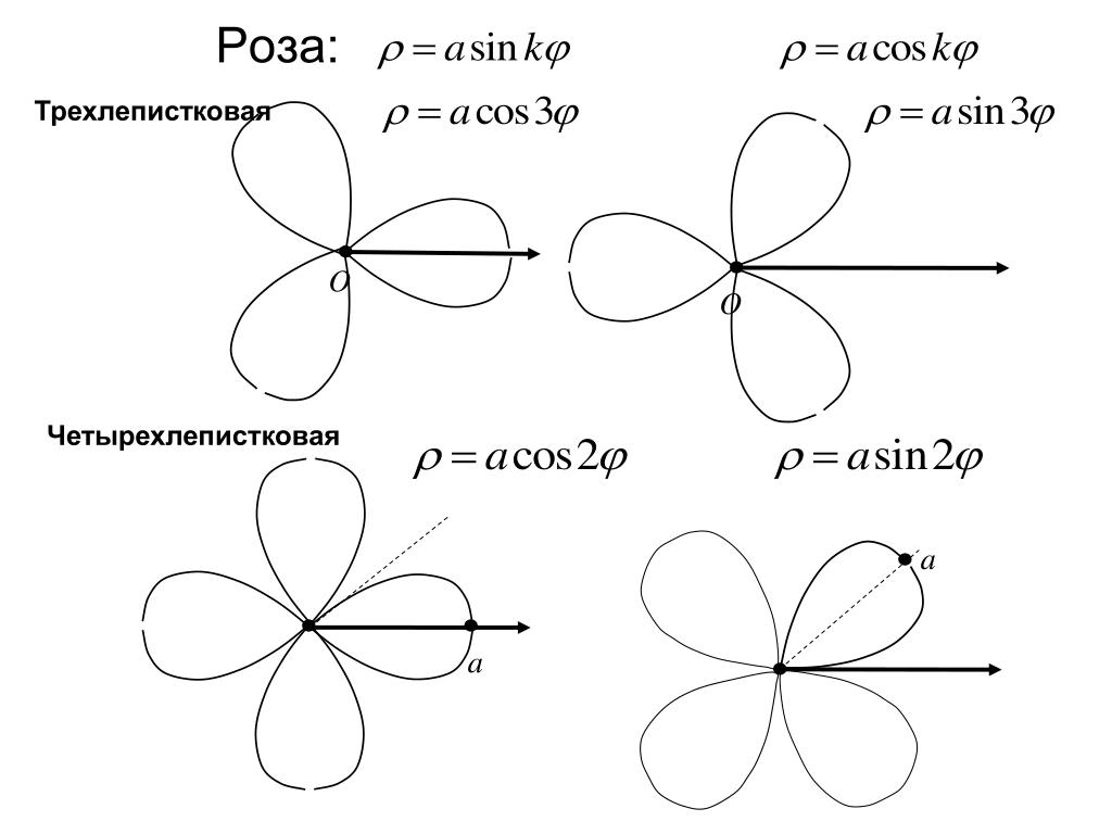 File:Division ((cosh x)2)-1; x 2.png - Wikimedia Commons