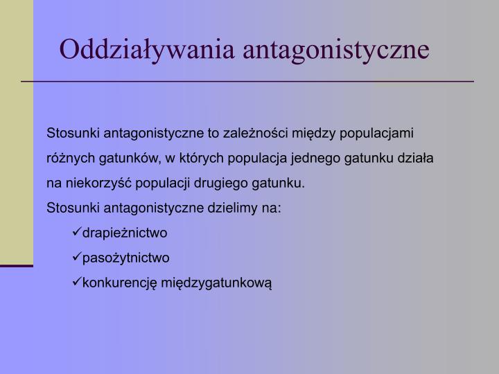 Zależności Pokarmowe Między Organizmami Można Przedstawić W Postaci PPT - Zależności między organizmami w biocenozie PowerPoint