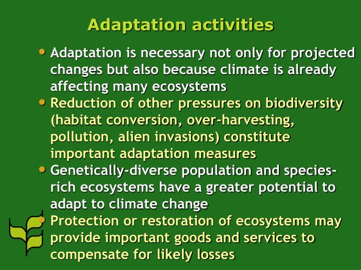 climate change will hit genetic diversity Climate change: impact on honey bee populations and diseases conservation measures will be needed to prevent the loss of this rich genetic diversity. climate change will hit genetic diversity Climate change: impact on honey bee populations and diseases conservation measures will be needed to prevent the loss of this rich genetic diversity.