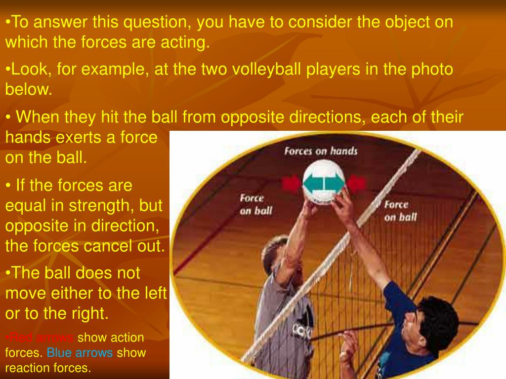 PPT - Newton’s 3rd Law of Motion: Action and Reaction PowerPoint ...