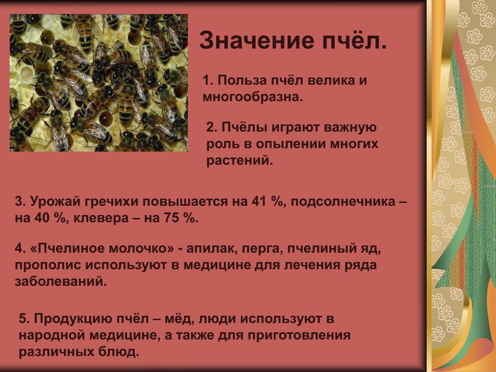 Пчелиный польза. Роль пчел в природе. Значение пчел в природе. Важность пчел. Польза пчел.