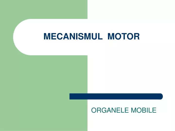 PPT - MECANISMUL MOTOR PowerPoint Presentation, free download - ID:3920261