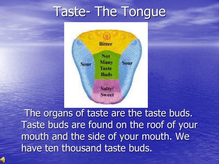 PPT How Do We Experience Daily Living Throughout Our Senses
