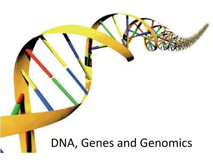 dna genes and genomics n.
