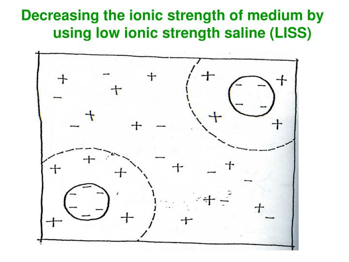 PPT Sensitization and Agglutination PowerPoint Presentation ID3923883