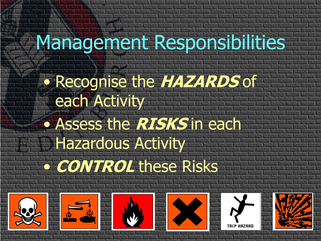 PPT - Health and Safety Awareness High Risk Areas Session 2 PowerPoint