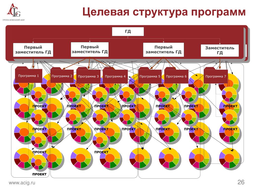 Целевые структуры. Структура целевой программы. Целевая структура. Структура целевой программы включает. Целевая структура проекта.