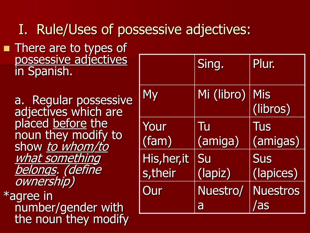 ppt-stressed-possessive-adjectives-powerpoint-presentation-free-download-id-3927863