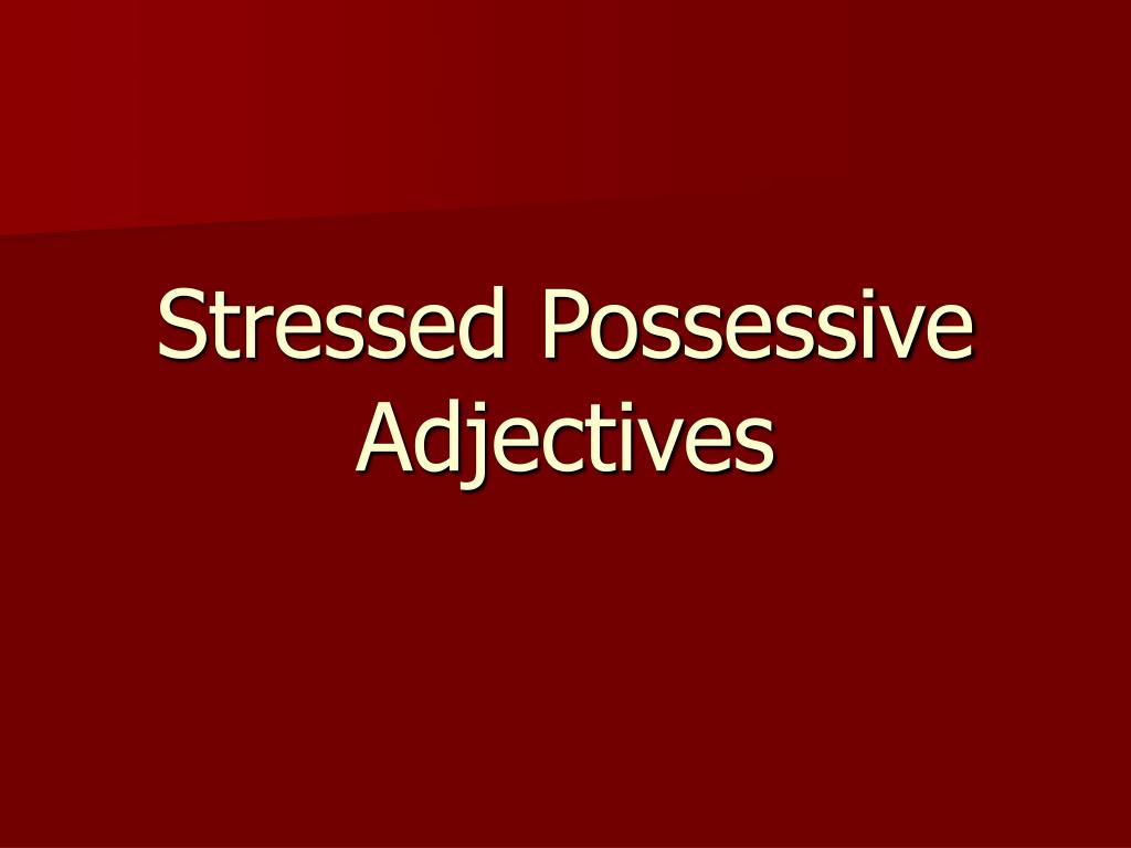 ppt-stressed-possessive-adjectives-powerpoint-presentation-free-download-id-3927863