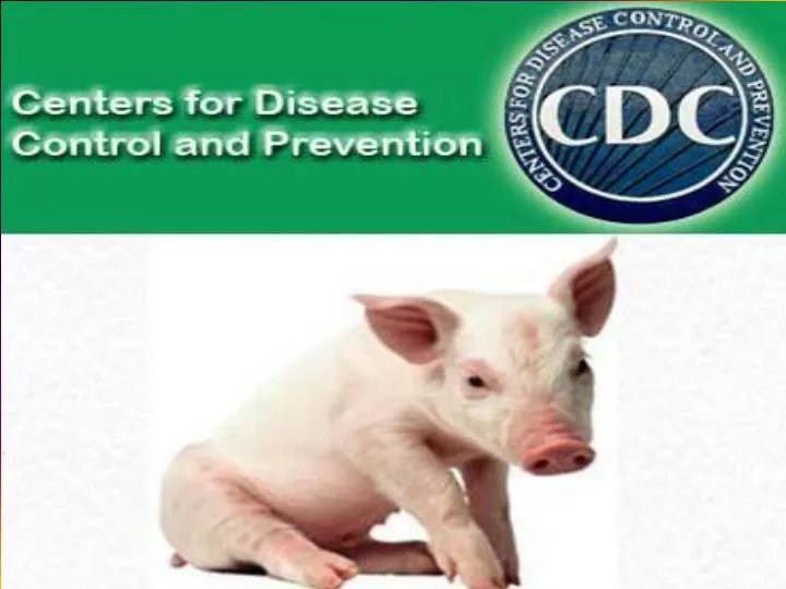 PPT - Swine Flu is a respiratory disease of pigs caused by type “A ...