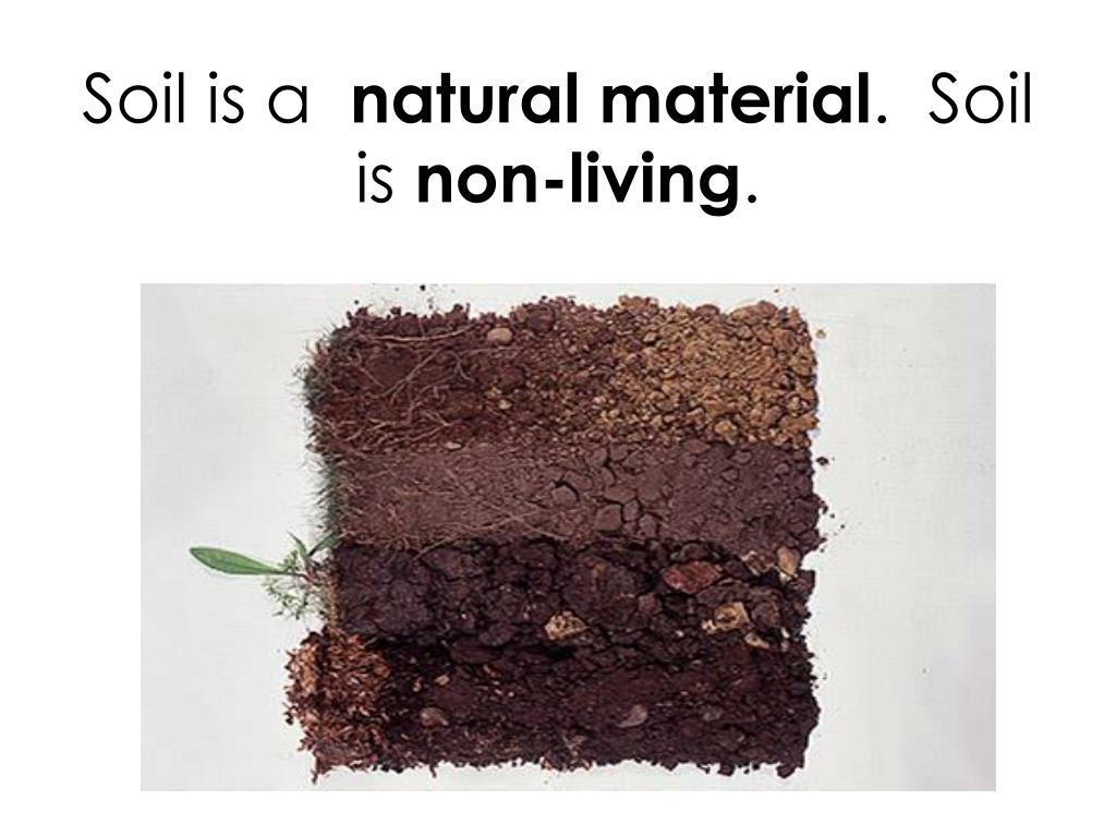 Types of Soil. Denudation of Soil. Silty Soil Modul of Elasticity. One soil