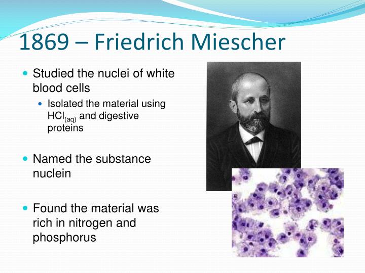 friedrich miescher experiment